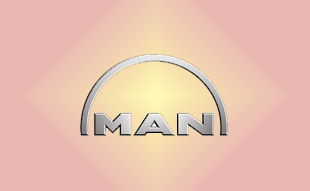 ✓ MAN 05006151 Фильтр воздушный 