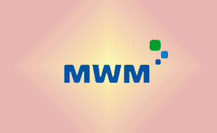 ✓ MWM 0403 0382 Запчасть MWM 